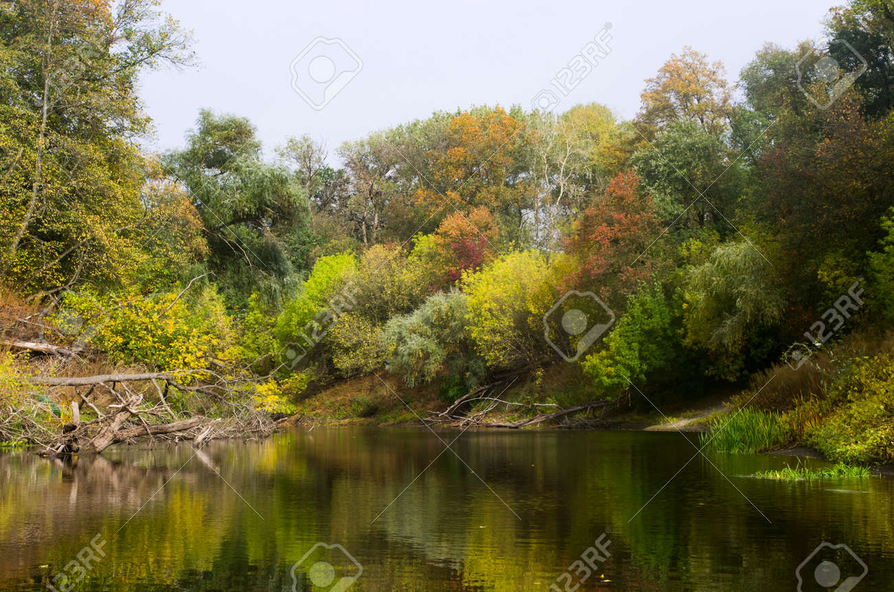 Autumn forest landscape along the banks of the river - 158581713 Autumn forest landscape along the banks of the river - 158581713