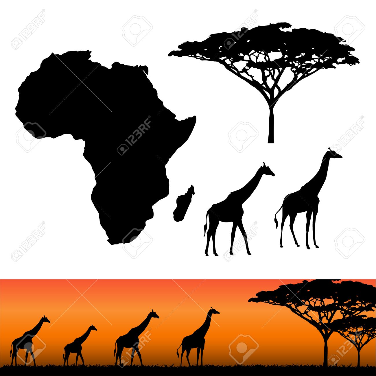 Map of Africa. Africa and Safari elements. African animals, giraffe, vector silhouettes. Panels of african silhouettes with african giraffes. Vector illustration - 54699308 Map of Africa. Africa and Safari elements. African animals, giraffe, vector silhouettes. Panels of african silhouettes with african giraffes. Vector illustration - 54699308
