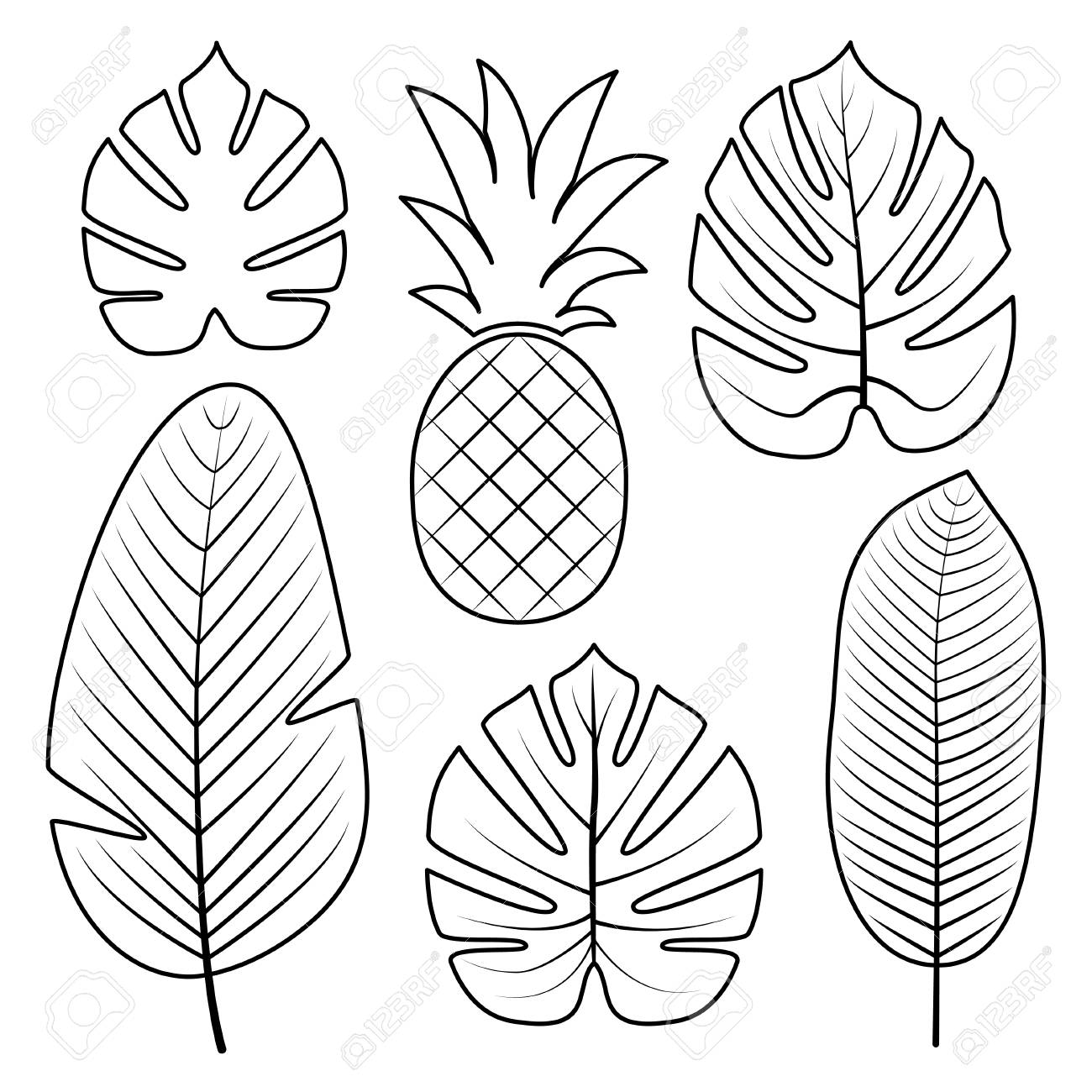 Dessin Feuille Tropicale à Imprimer Feuilles De Palmier Tropical Et Ananas Isolé Sur Fond Blanc. Illustration Vectorielle De Contour. Feuilles De Jungle. Illustration Utilisée Pour Cahier De Coloriage, Affiches, Invitations. Clip Art Libres De Droits, Svg, Vecteurs