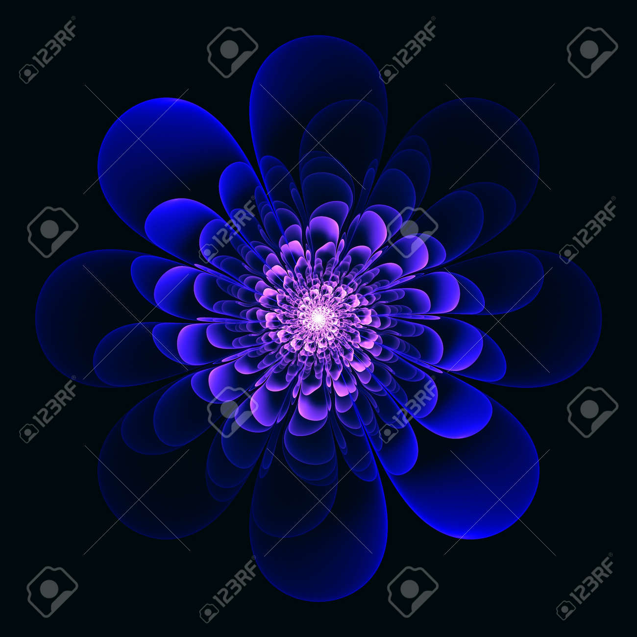 Colorful Flower Blooms Pattern On Dark Background Stock Photo ...