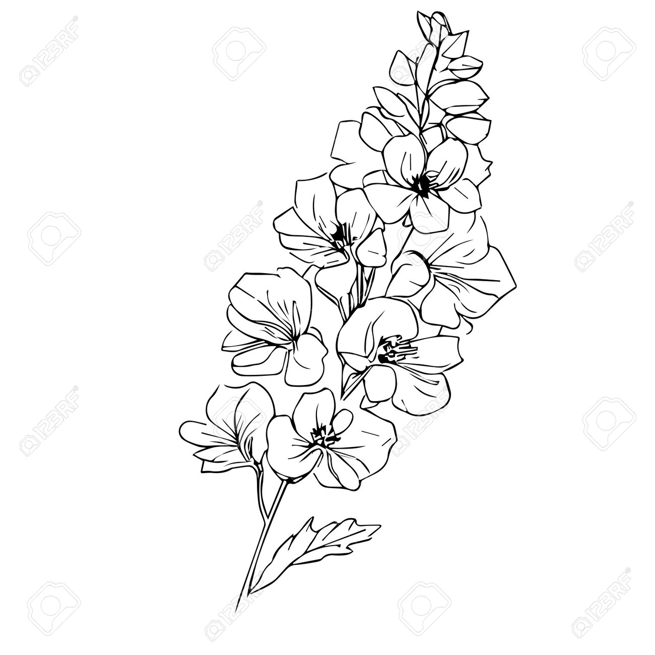 Larkspur Flower Tattoo: Black & White Magic