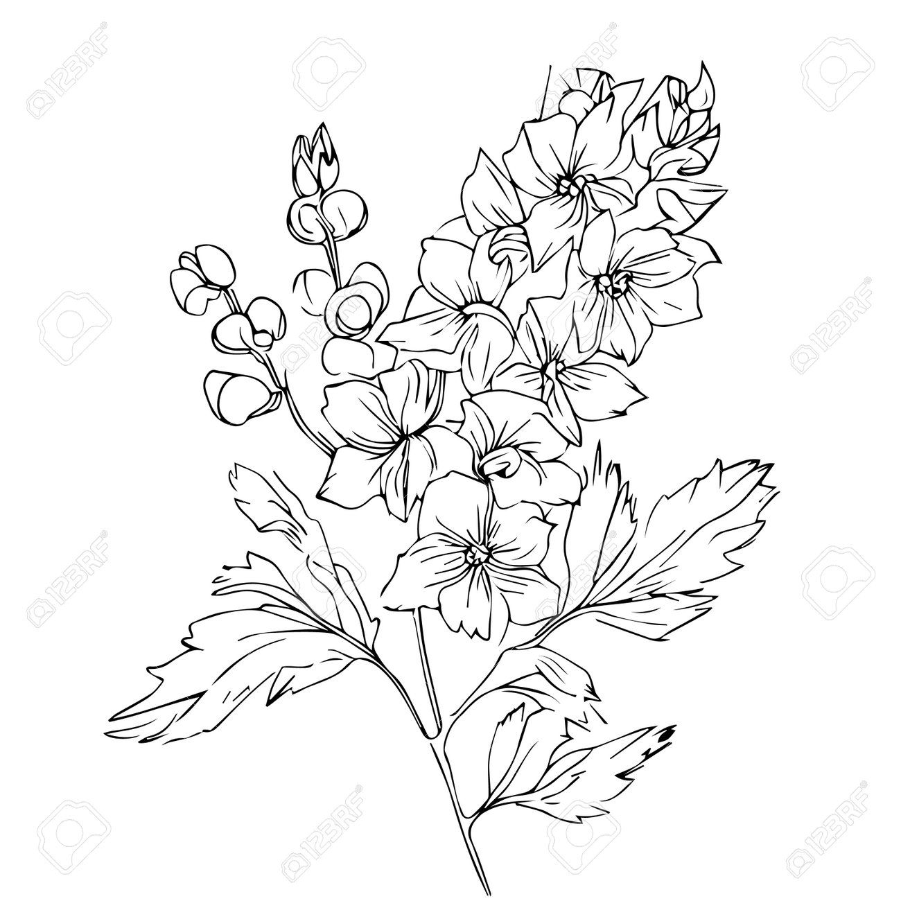 July Birth Flower Tattoo Ideas