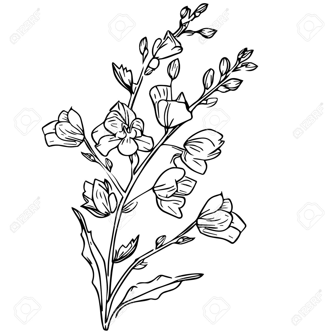 july-birth-flower-larkspur-drawing-minimalist-july-birth-flower-larkspur-tattoo-larkspur-july-flower-tattoo-july-birth-flower-tattoo-black-july-birth-flower-larkspur-tattoo-royalty-free-svg-cliparts-vectors-and-stock for Birth Flower Bouquet Tattoo Generator Free Printable July Birth Flower Larkspur Drawing, Minimalist July Birth Flower Larkspur Tattoo, Larkspur July Flower Tattoo, July Birth Flower Tattoo, Black July Birth Flower Larkspur Tattoo, Royalty Free SVG, Cliparts, Vectors, and Stock for Birth Flower Bouquet Tattoo Generator Free Printable