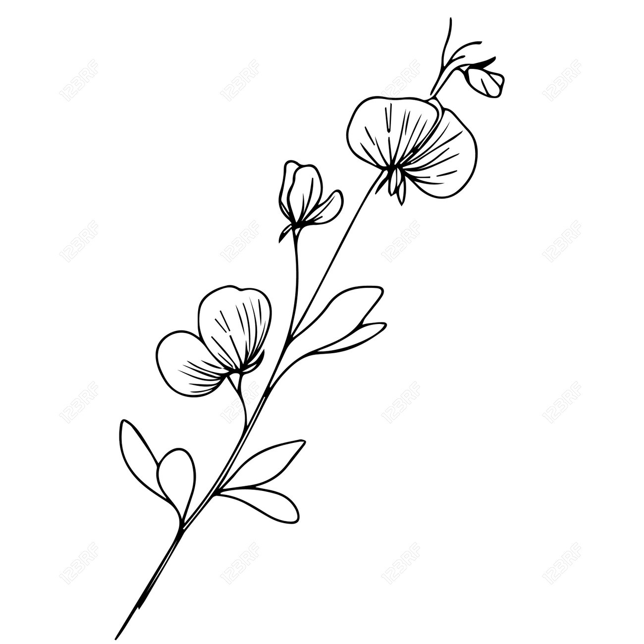 April Birth Flower Inspires Sweet Pea Tattoo