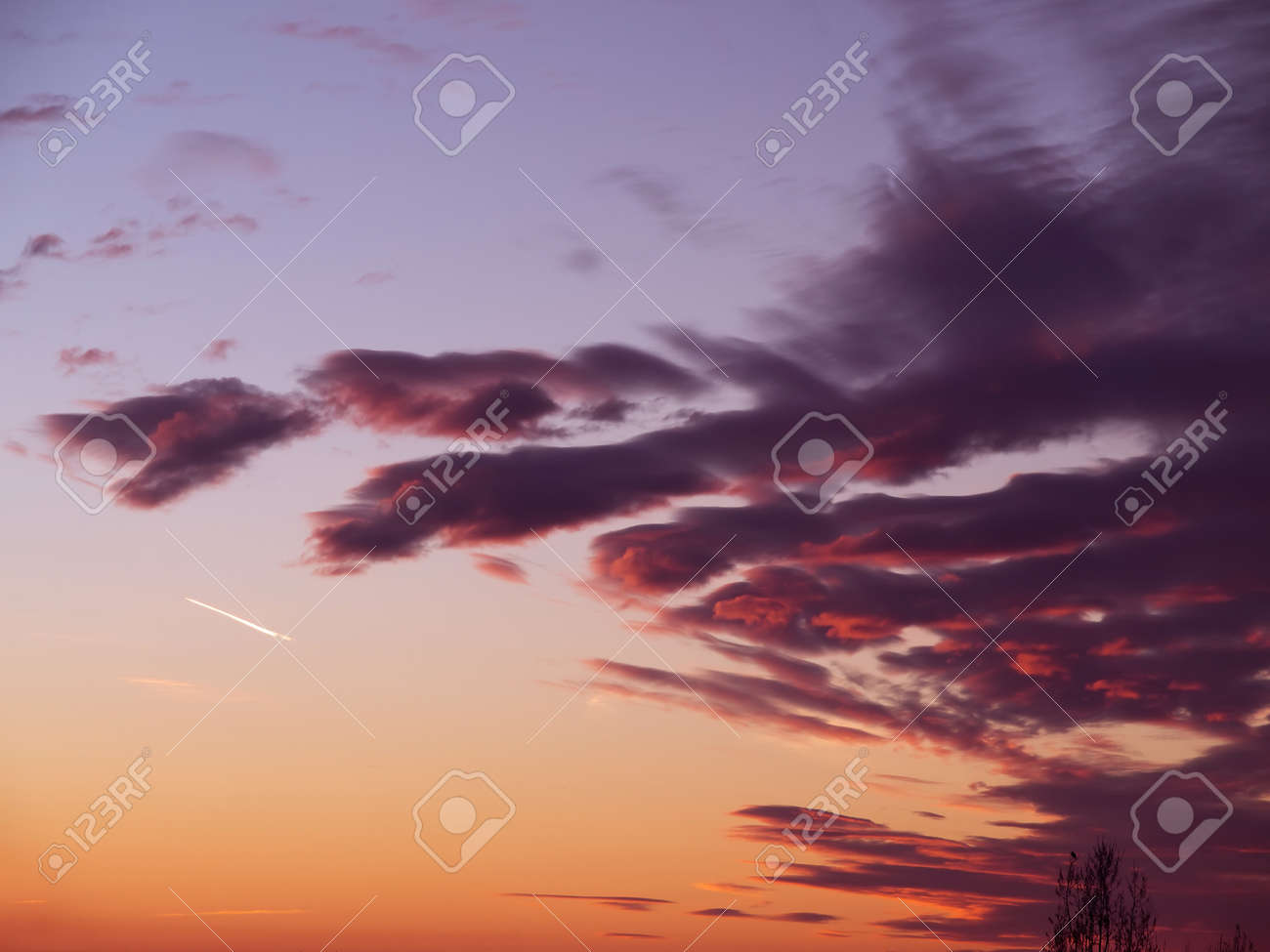 etiam-dictum-ipsum-a-felis