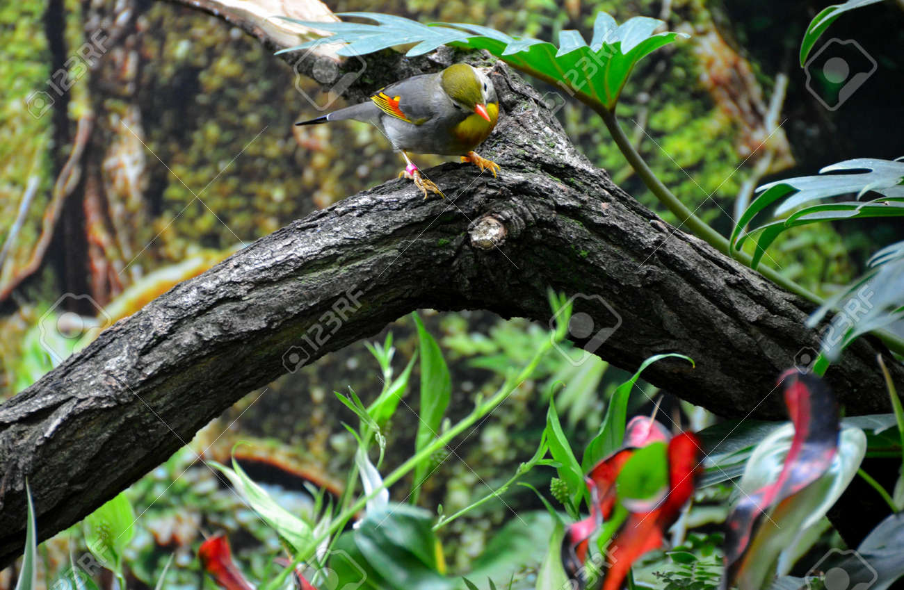 etiam-dictum-ipsum-a-felis