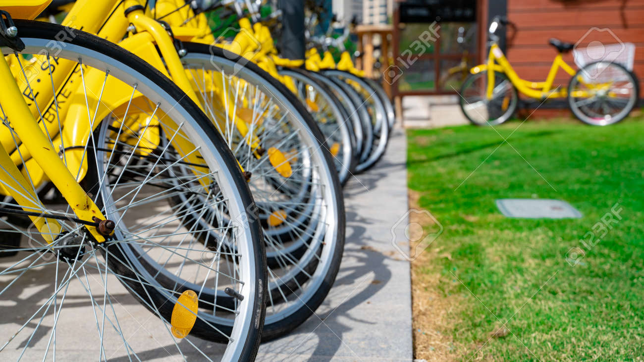 the bike shop green park