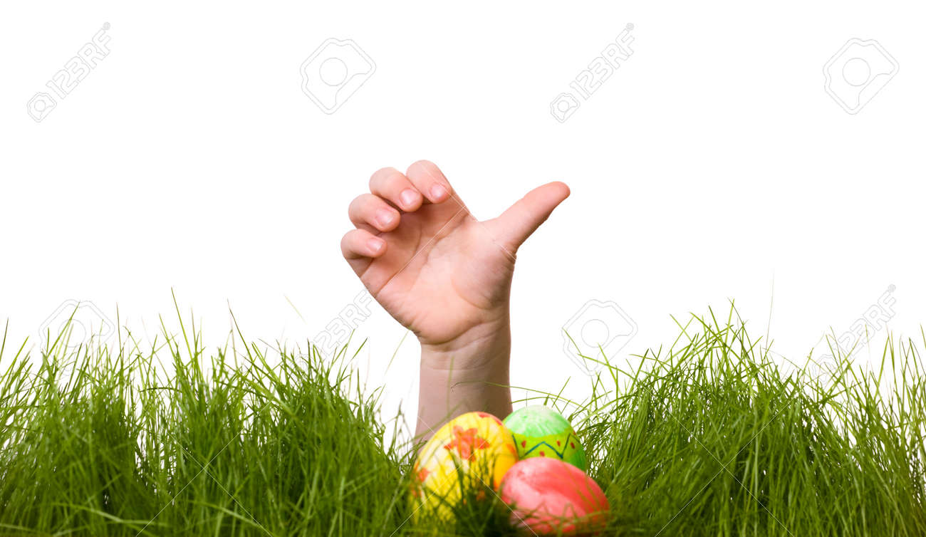 egg hunt background