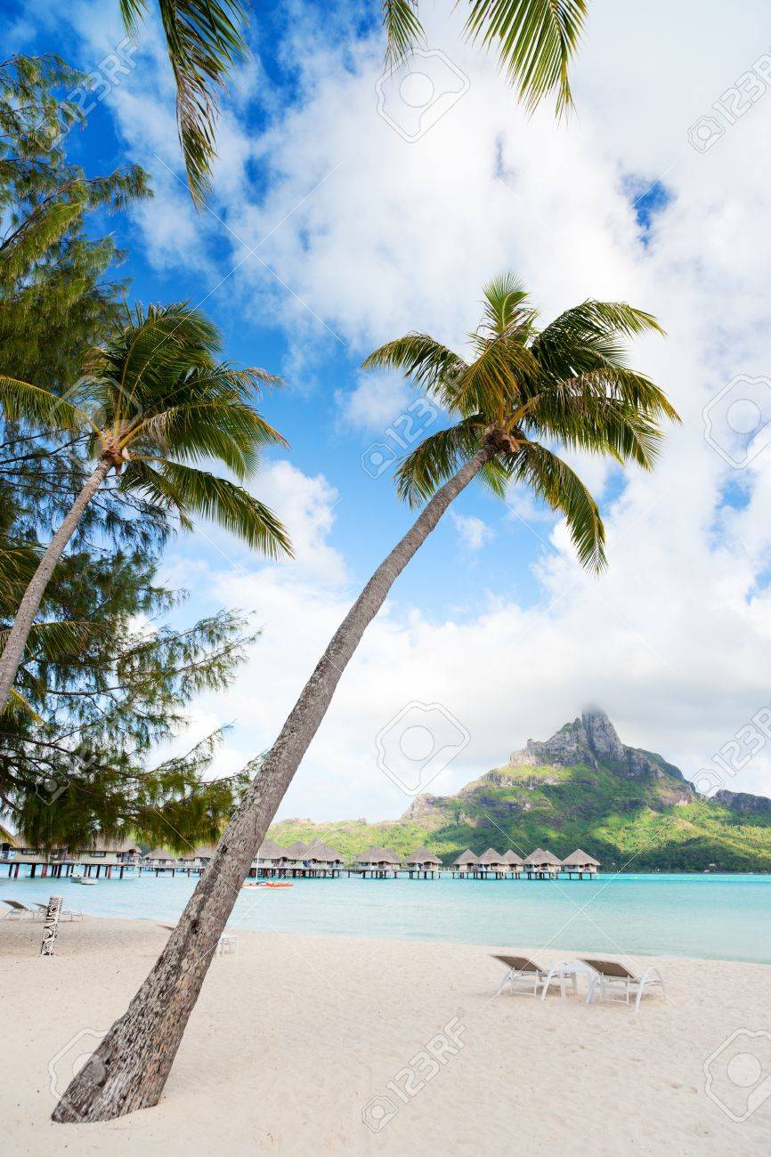 Beautiful Beach With Coconut Palms On Bora Bora Island In French Polynesia Stock Photo Picture And Royalty Free Image Image
