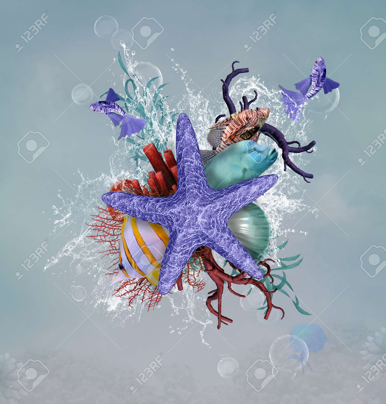 ヒトデやサンゴの夏イラスト の写真素材 画像素材 Image