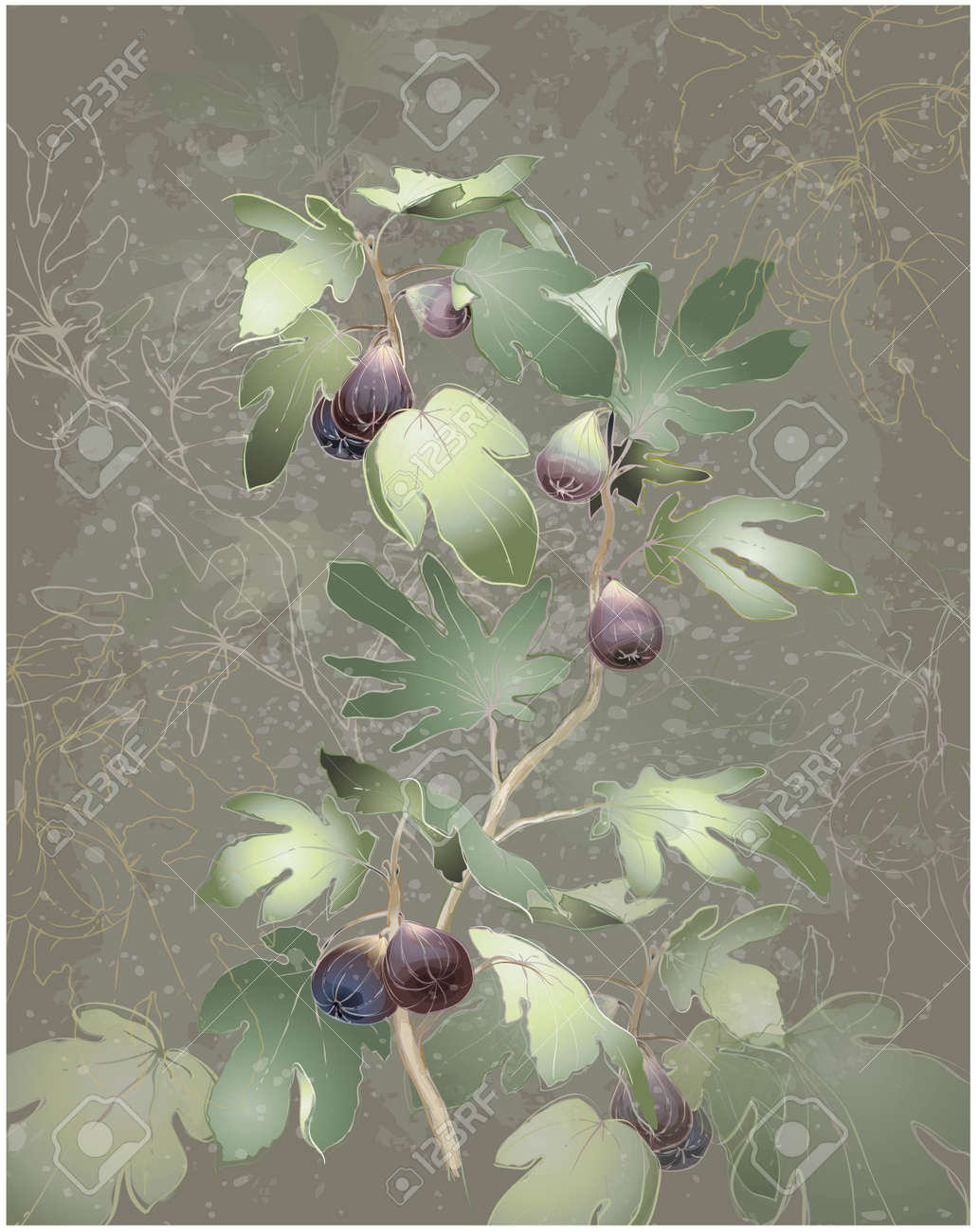 イチジク木の束の詳細な画像 イチジクの木のイチジク イチジクの木のグリーティング カード のイラスト素材 ベクタ Image