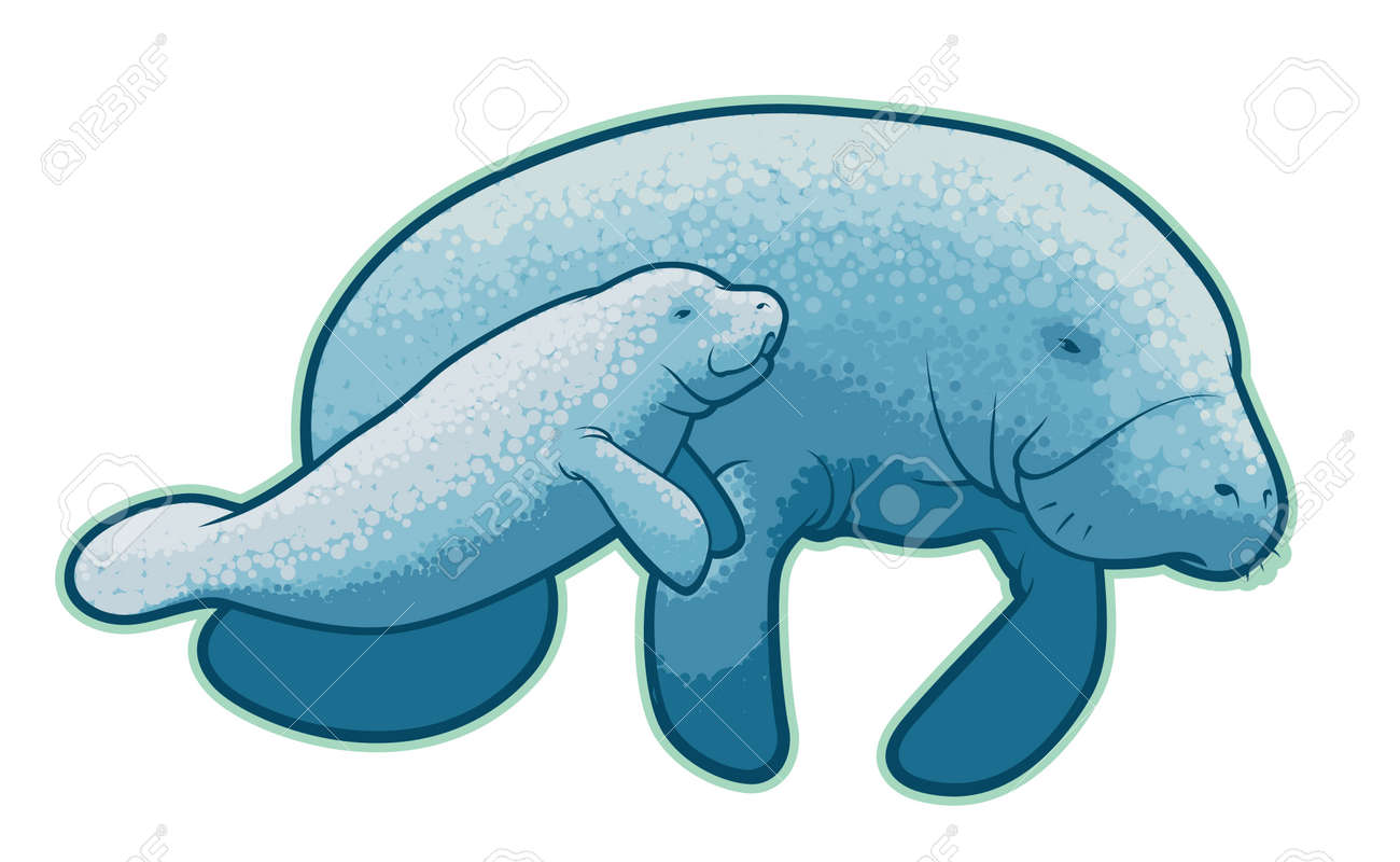 Manatees Royalty Free SVG, Cliparts, Vectors, And Stock Illustration. Image  30394286.