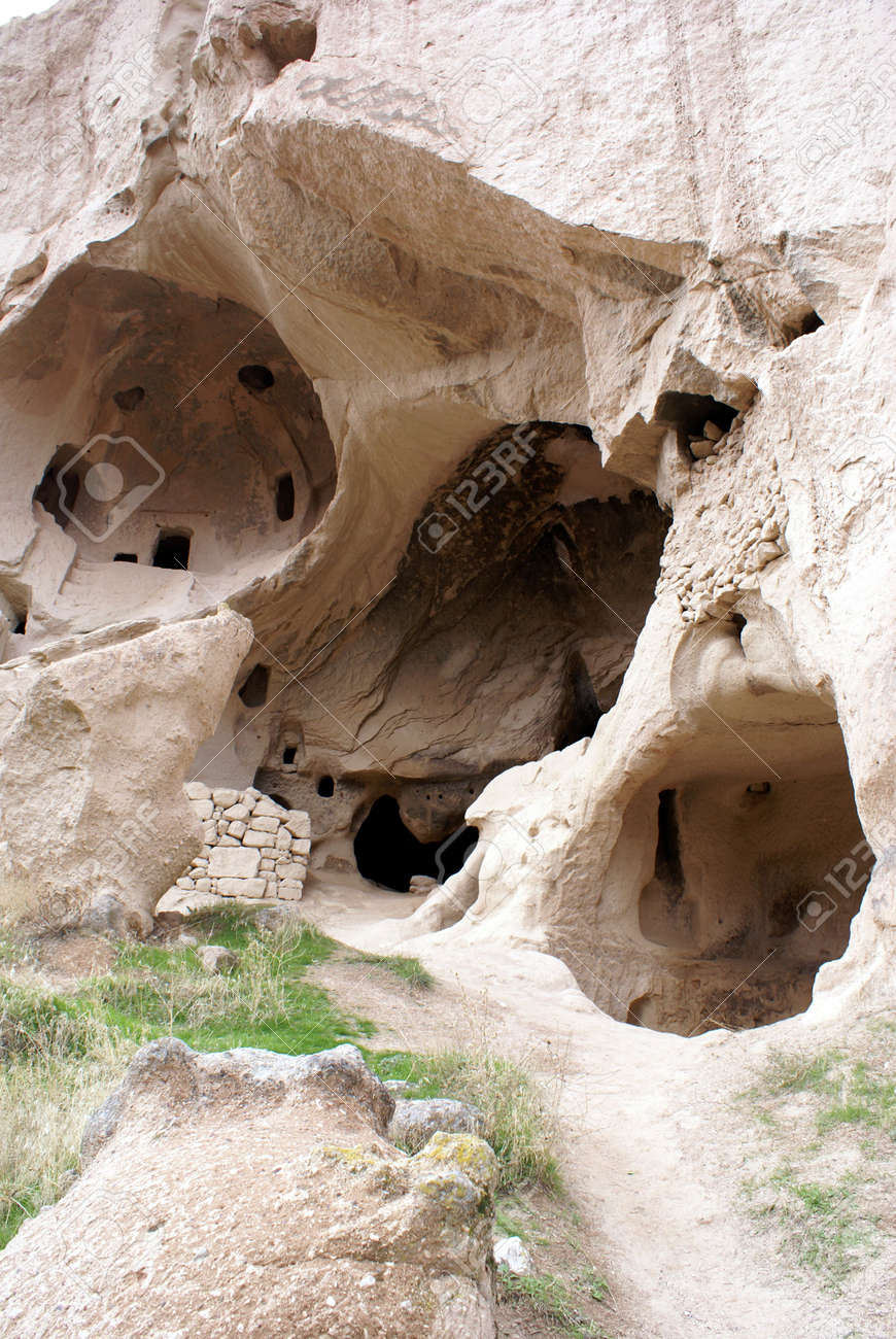 etiam-dictum-ipsum-a-felis