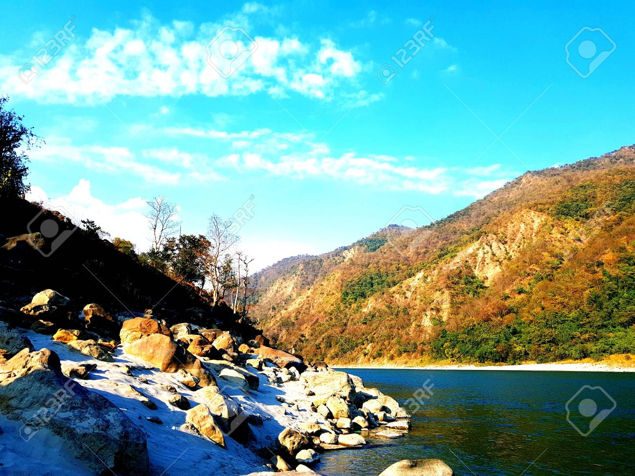 etiam-dictum-ipsum-a-felis