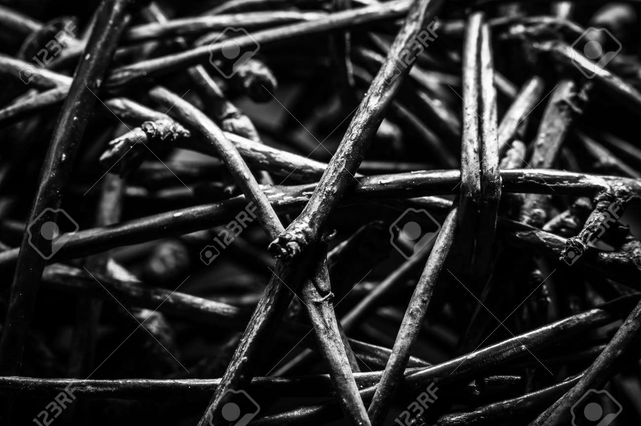 etiam-dictum-ipsum-a-felis