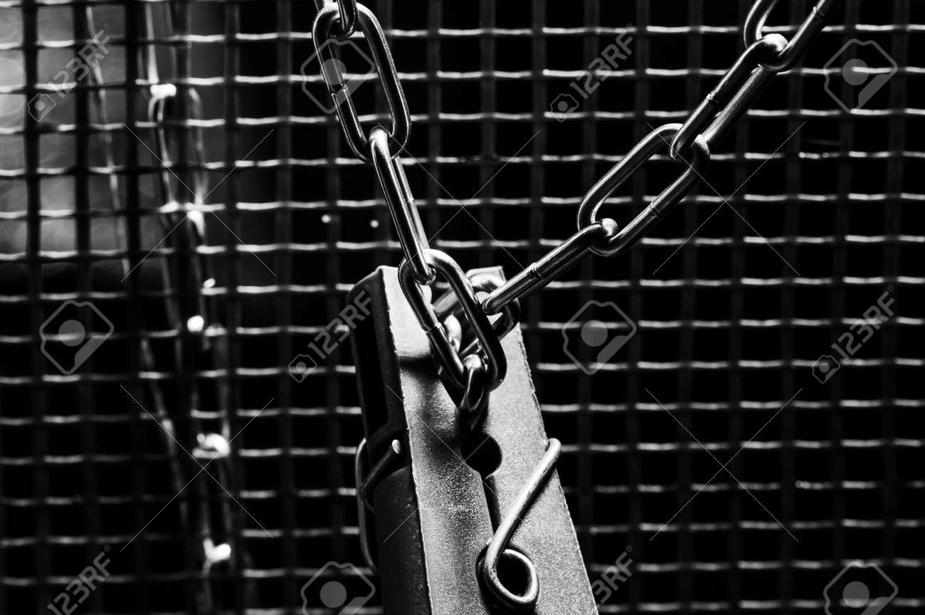 etiam-dictum-ipsum-a-felis