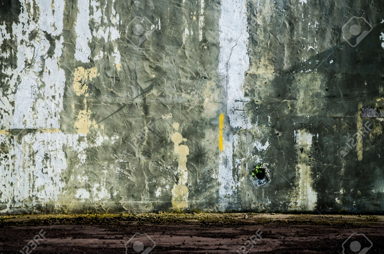 etiam-dictum-ipsum-a-felis