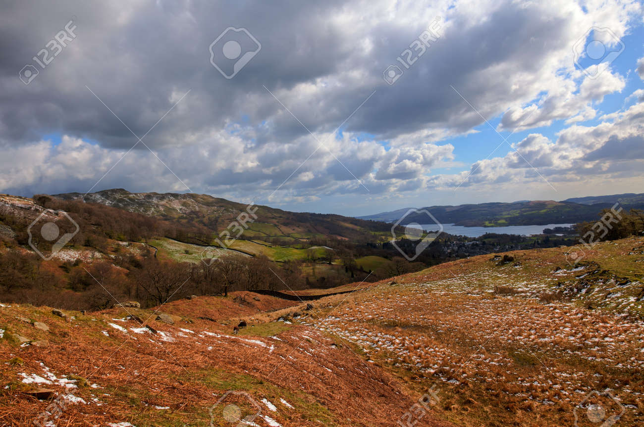 etiam-dictum-ipsum-a-felis