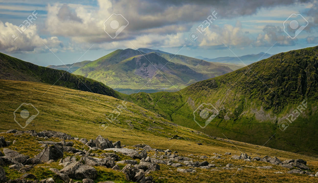 etiam-dictum-ipsum-a-felis