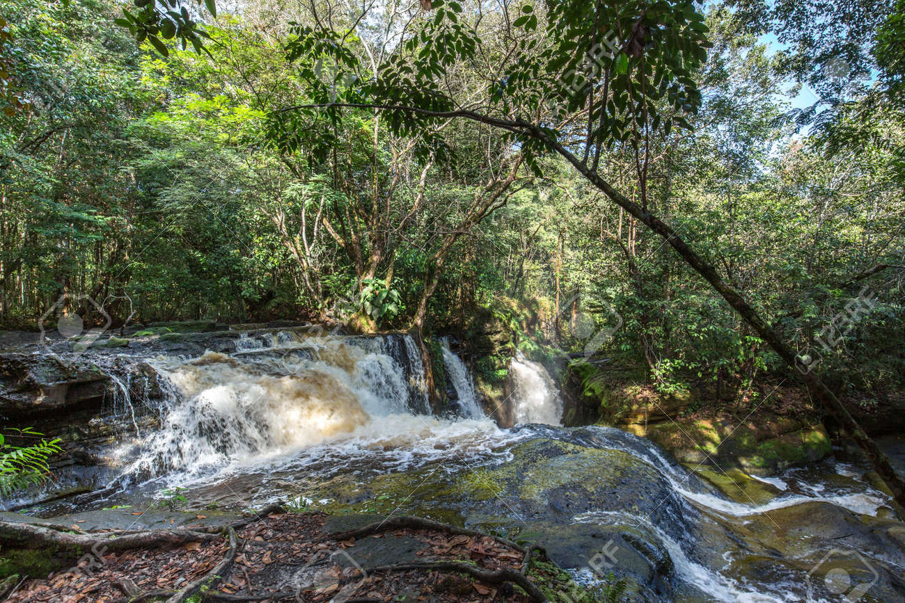 Flowing Waterfalls Cascading Down Rocks Into The Amazon River Surrounded By  Tropical Rainforest And Exotic Jungle Foliage In The State Of Amazonas,  Brazil, South America Stock Photo, Picture and Royalty Free Image., image size:1300x867