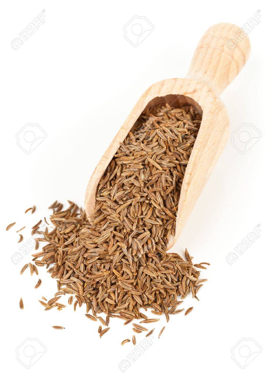 Caraway Cumin seeds in wooden scoop over white background - 15557854 Caraway Cumin seeds in wooden scoop over white background - 15557854