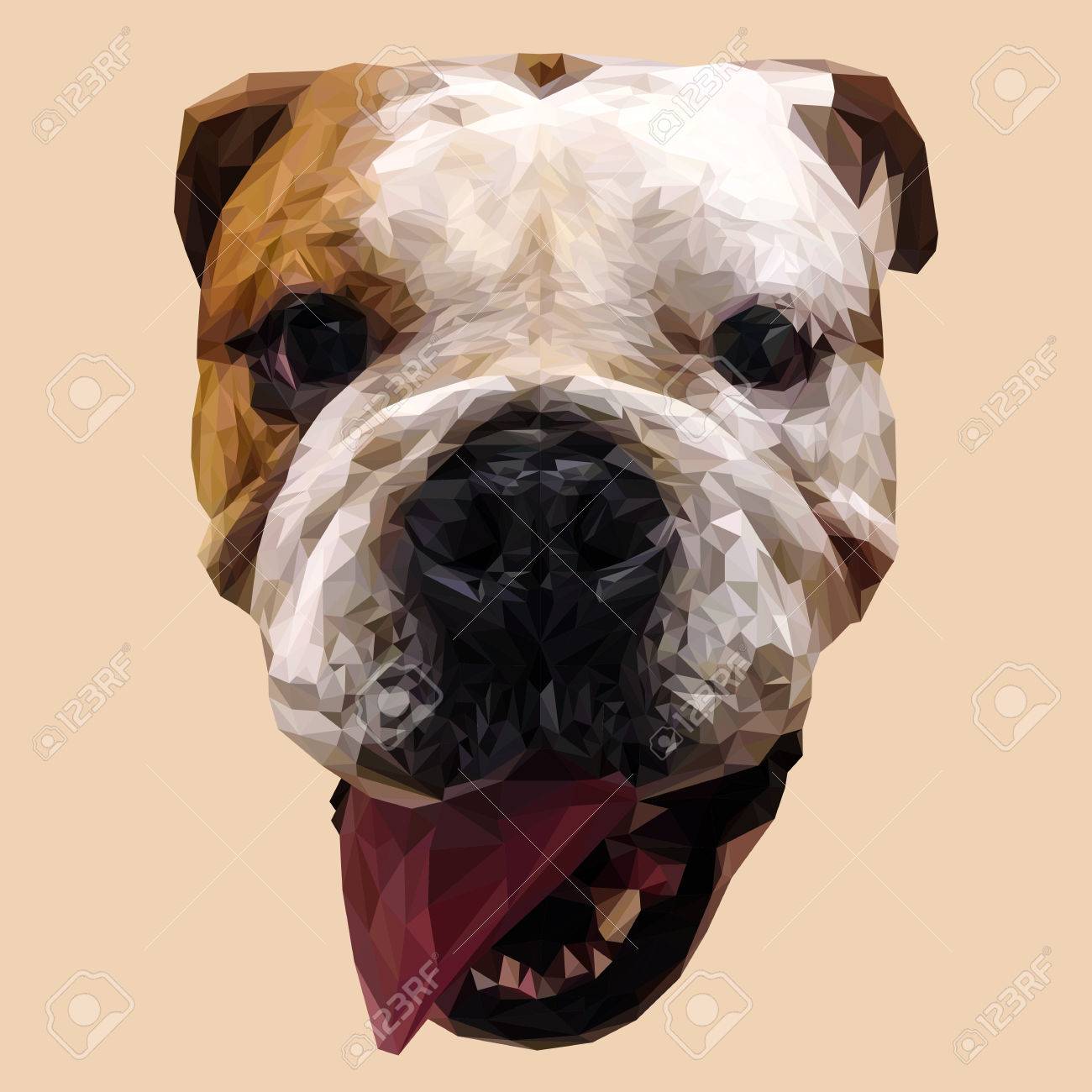 English Bulldog Dog Animal Low Poly Design. Triangle Vector Illustration.  Royalty Free SVG, Cliparts, Vectors, and Stock Illustration. Image 56506128., image size:1300x1300
