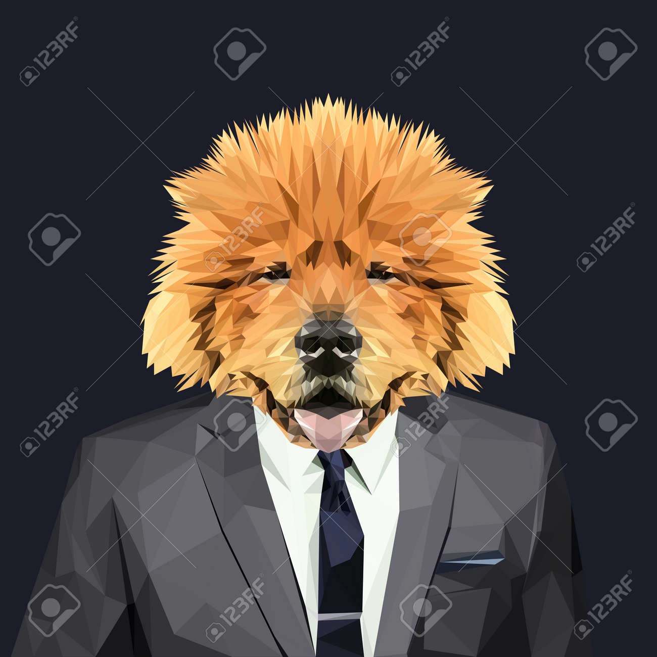 chow chow dressed up