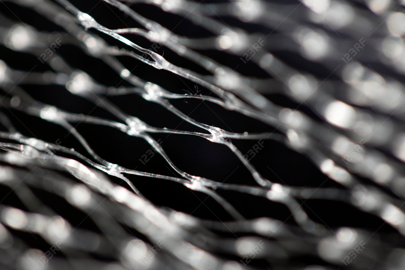 etiam-dictum-ipsum-a-felis