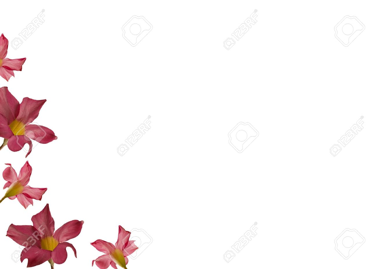 mothers day greeting card background flower border flower card background