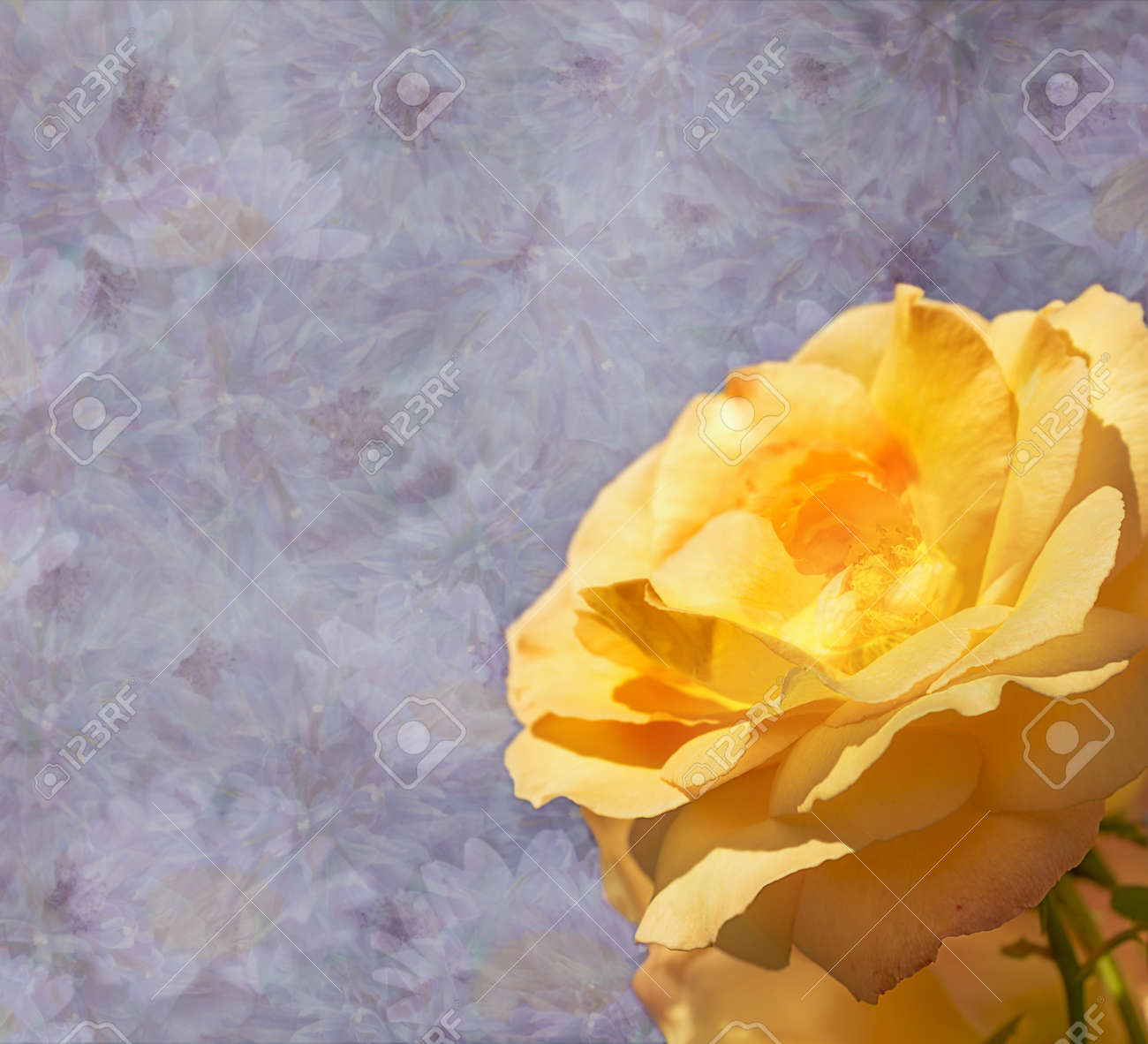 condolenses card