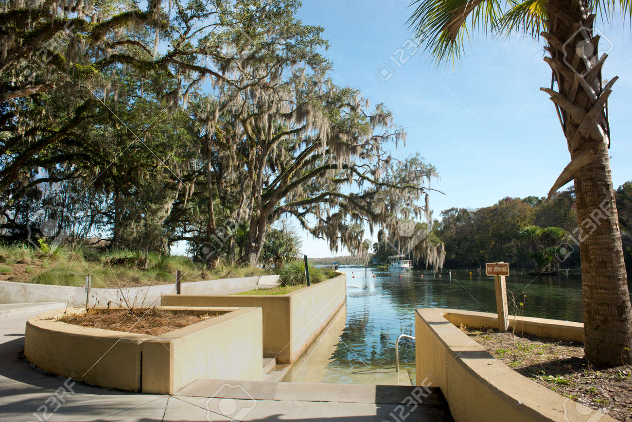 塩化物温泉オカラ国有林で 古代の地下湧水 72 度の一定した温度を一年中流れと一日あたりのクリスタル クリアな水の約 5300 万ガロンをポンプ の写真素材 画像素材 Image
