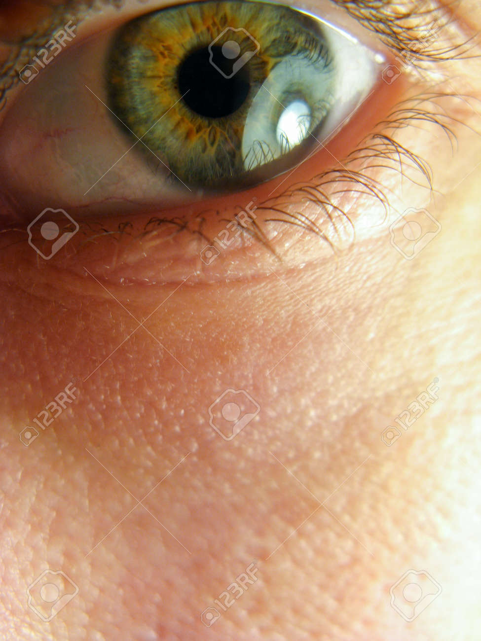Iris And Pupil Eyes Close Up Beautiful Light Green Gray Brown