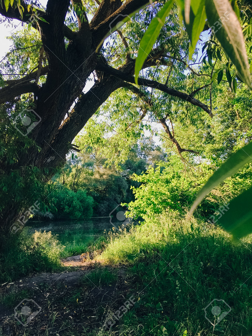 etiam-dictum-ipsum-a-felis