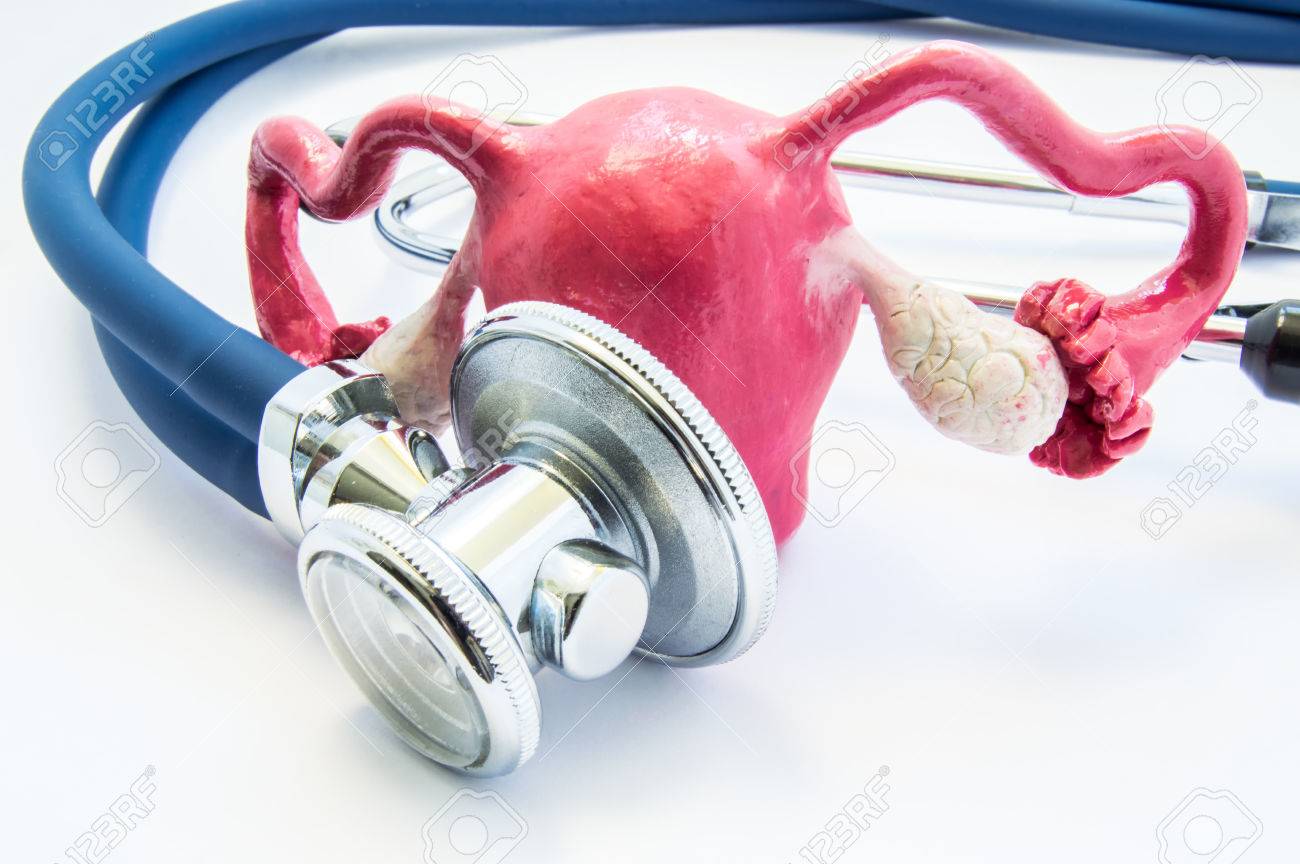 Anatomical 3D volume shape of womb or uterus with ovary near stethoscope, which examines it. Concept photo for exam or test, diagnosis and treatment disease, disorder or other health problems of womb - 80887262 Anatomical 3D volume shape of womb or uterus with ovary near stethoscope, which examines it. Concept photo for exam or test, diagnosis and treatment disease, disorder or other health problems of womb - 80887262