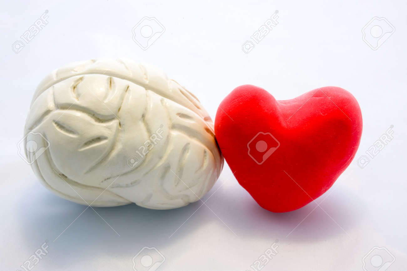 Red card heart shape and figure of human brain standing next to next to each other on white background. Connection heart and brain in couple or choice for who to follow, or their interaction in body - 113435709 Red card heart shape and figure of human brain standing next to next to each other on white background. Connection heart and brain in couple or choice for who to follow, or their interaction in body - 113435709