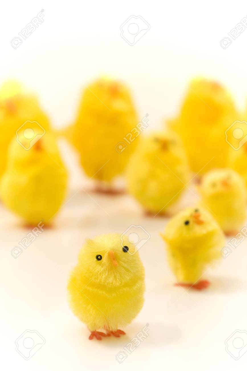 etiam-dictum-ipsum-a-felis