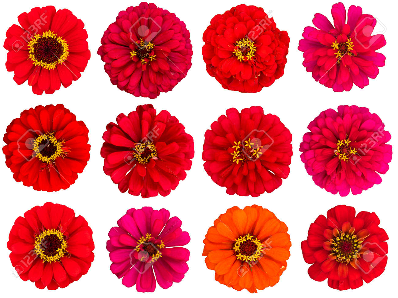 flower cut out