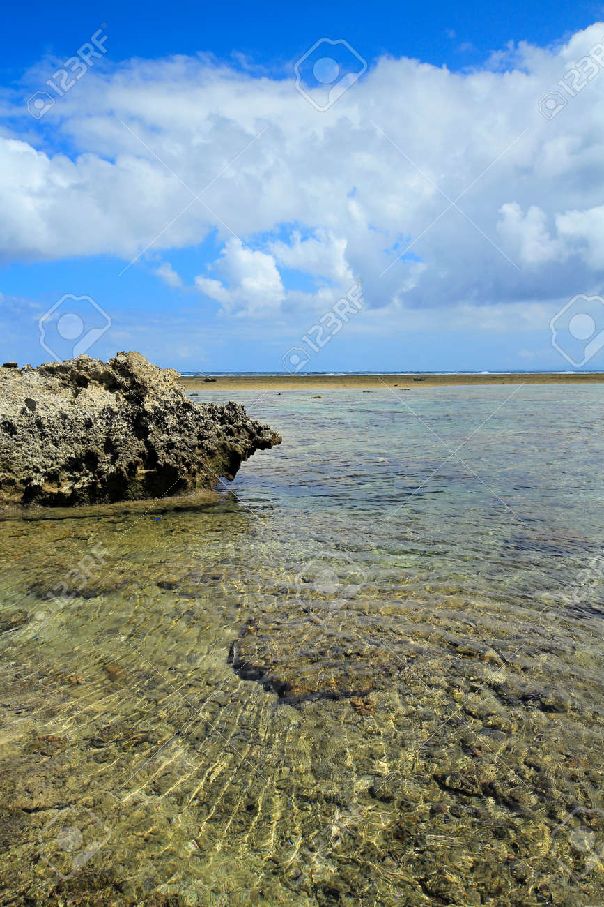 引き潮の時の岸 沖縄 日本 の写真素材 画像素材 Image