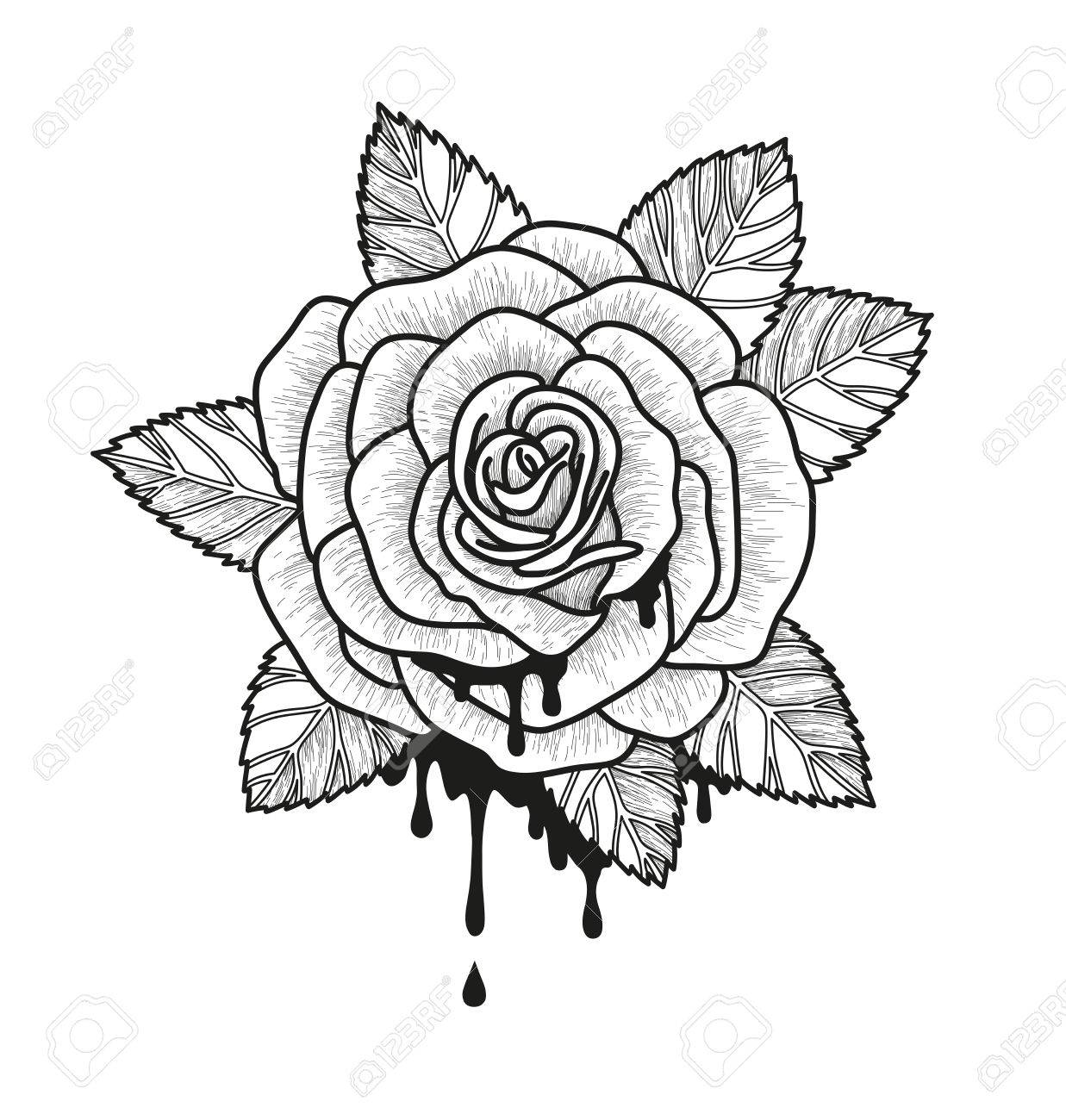 花の白黒のベクトル図を上昇しました 美しいバラは 白い背景で隔離 タトゥーのデザインの要素のイラスト素材 ベクタ Image 花の白黒のベクトル図を上昇しました 美しいバラは 白い背景で隔離 タトゥーのデザインの要素のイラスト素材 ベクタ Image