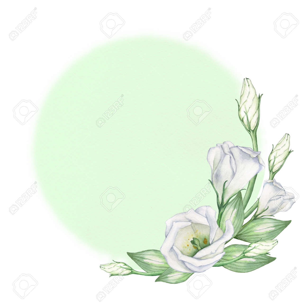 Green Round Background With White Flowers The Texture Of