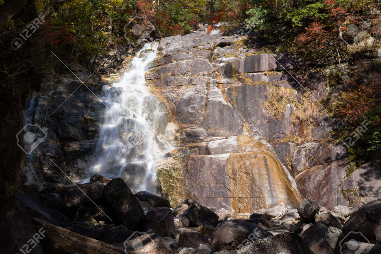 etiam-dictum-ipsum-a-felis