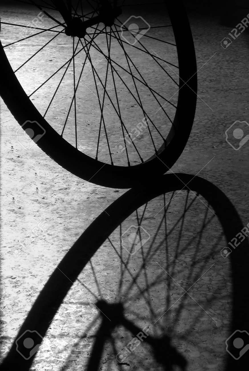 bike wheel display