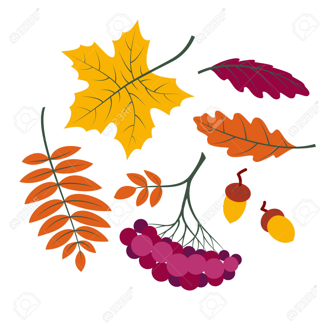 Jeu De Feuilles D Automne Silhouettes Colorees De Collection De Feuilles D Arbres Erable Feuille De Rowan Rowanberry Chene Gland Etc Style Simple Dessin Anime Isole Sur Fond Blanc Illustration Vectorielle Clip Art Libres Jeu De Feuilles D Automne Silhouettes Colorees De Collection De Feuilles D Arbres Erable Feuille De Rowan Rowanberry Chene Gland Etc Style Simple Dessin Anime Isole Sur Fond Blanc Illustration Vectorielle Clip Art Libres
