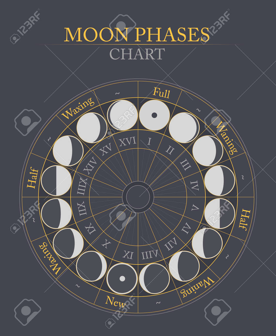 moon phases flat vector background on grey royalty free cliparts moon charts