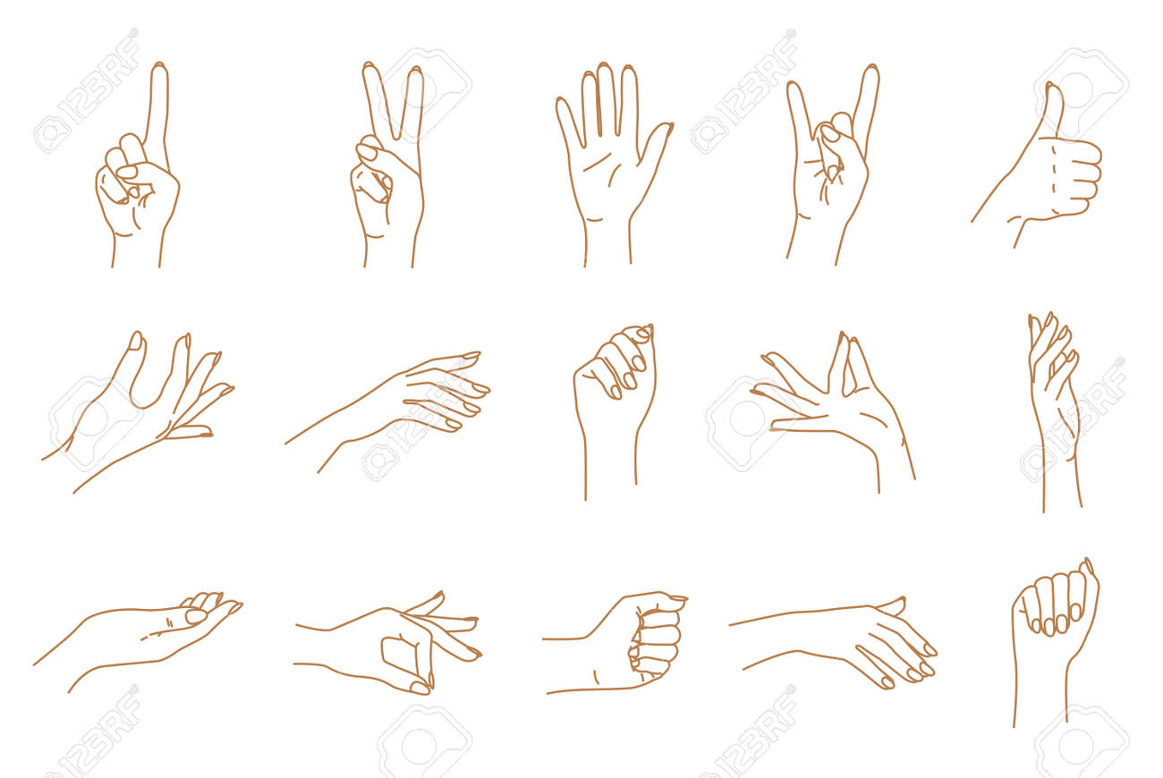 女性の手のジェスチャー輪郭ベクトル グラフィック セットのイラスト素材 ベクタ Image 女性の手のジェスチャー輪郭ベクトル グラフィック セットのイラスト素材 ベクタ Image