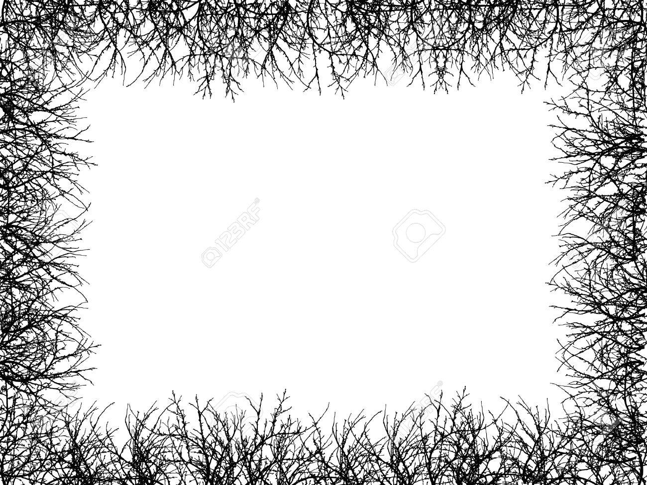 white background with black border sasolo annafora co
