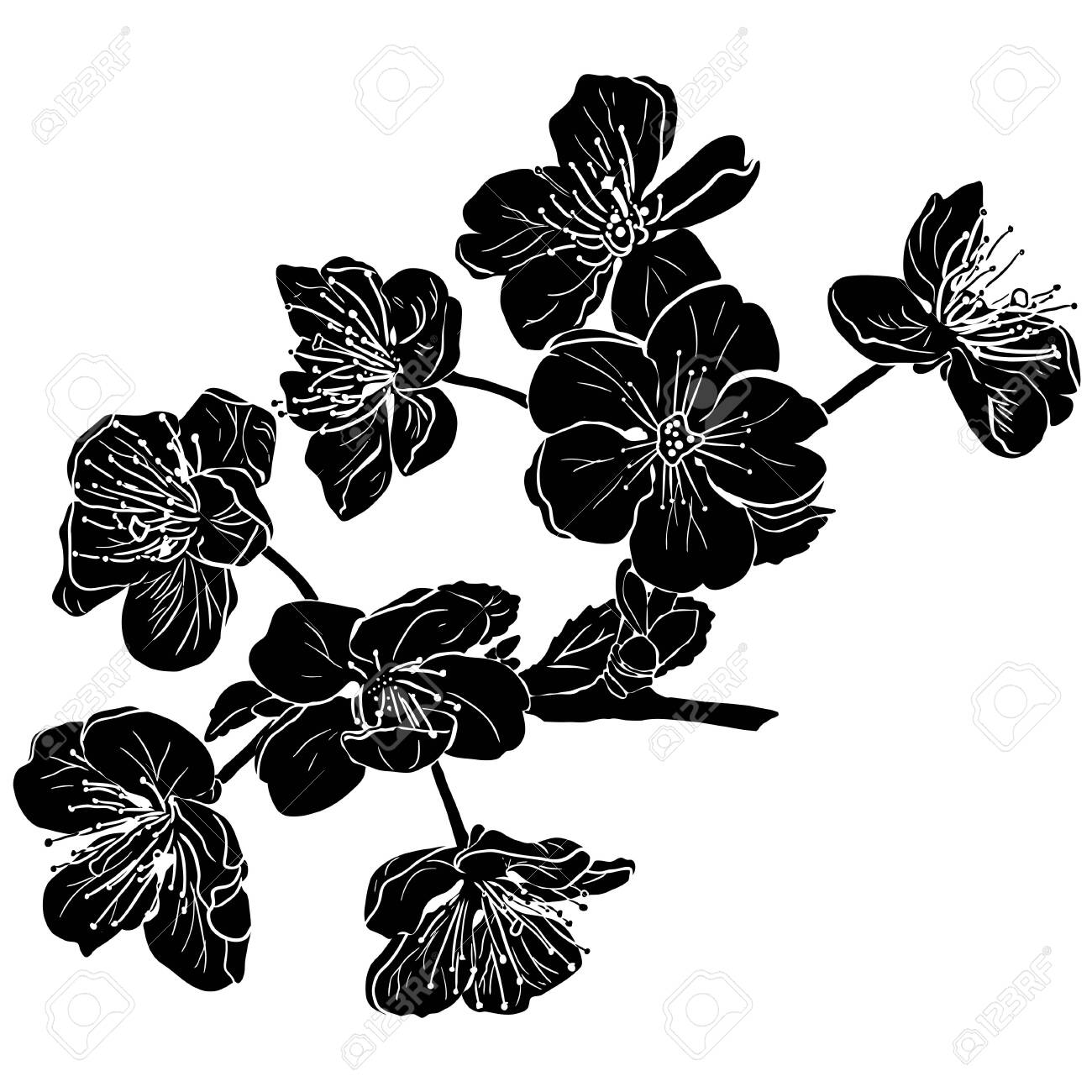 Black Apple Tree Flowers Silhouette In Beautiful Style On White Background Summer Graphic Vector Illustration Art Cherry Blossom Royalty Free Cliparts Vectors And Stock Illustration Image Black Apple Tree Flowers Silhouette In Beautiful Style On White Background Summer Graphic Vector Illustration Art Cherry Blossom Royalty Free Cliparts Vectors And Stock Illustration Image