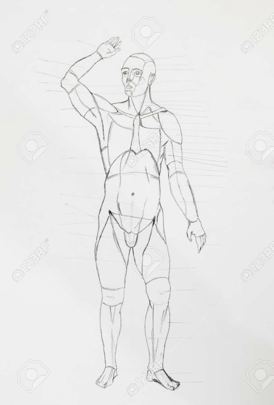 Detail Of Human Front Body Pencil Drawing On White Paper