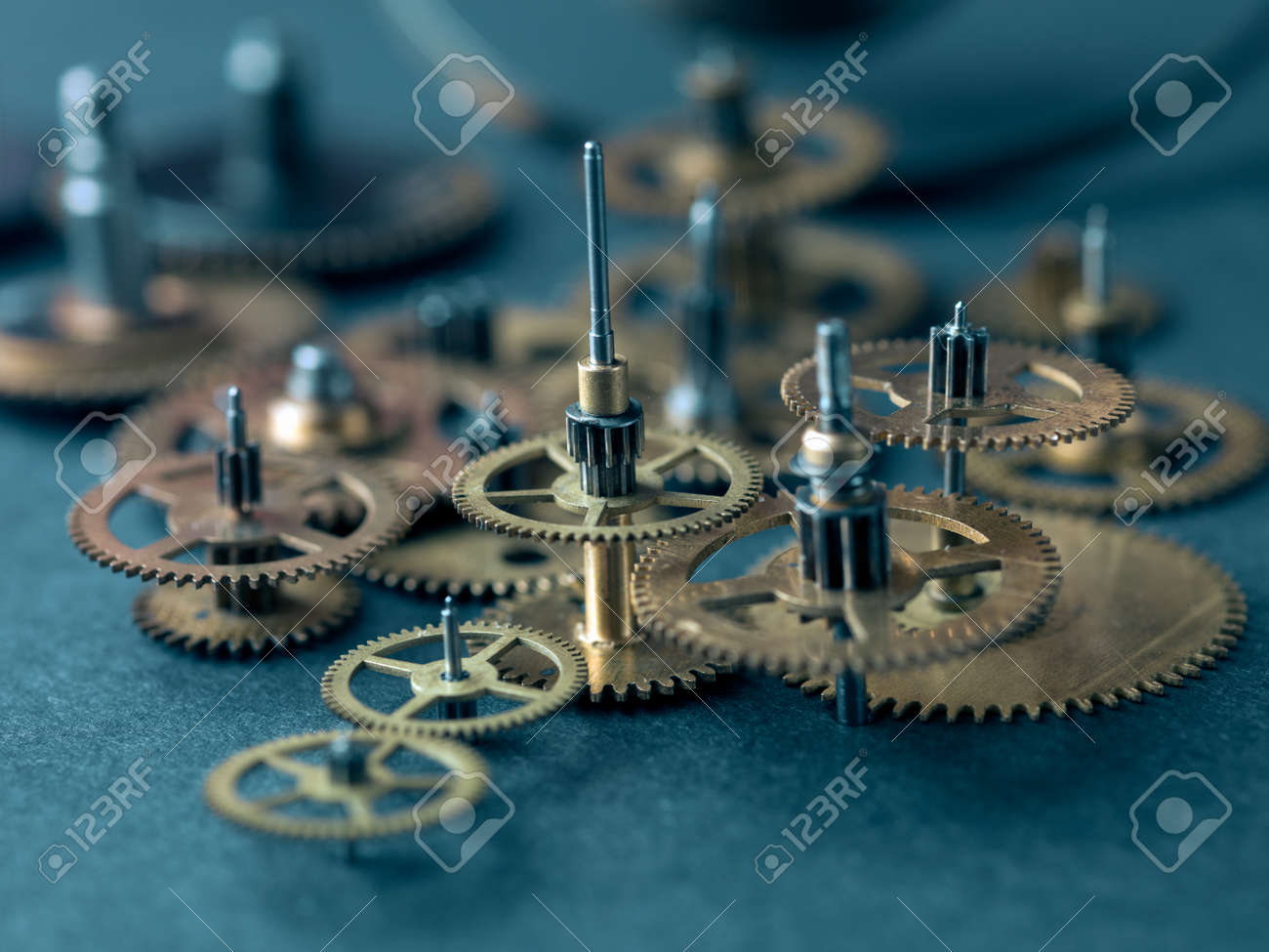 etiam-dictum-ipsum-a-felis