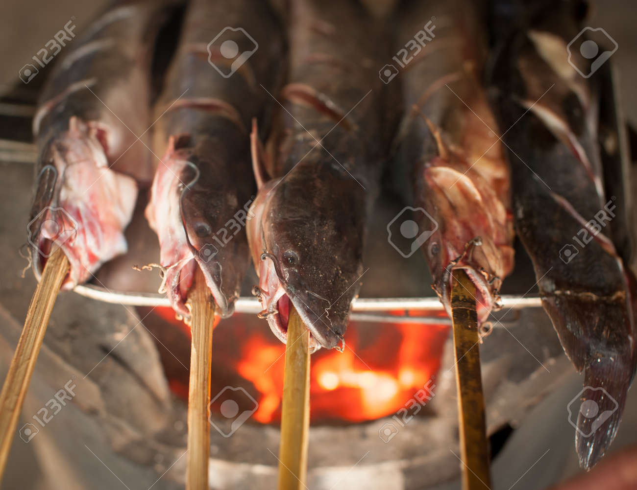 etiam-dictum-ipsum-a-felis